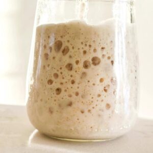Dehydrated Sourdough Starter - Organic Bread Flour